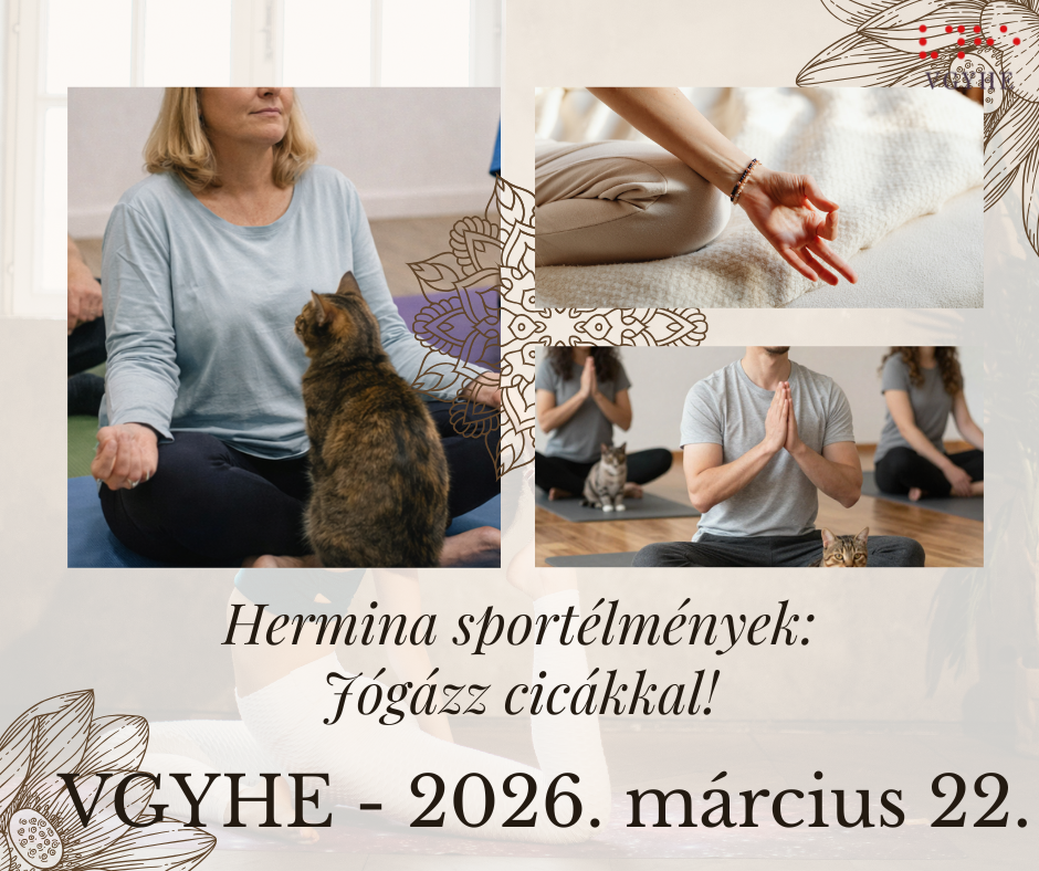 A kép három fotót mutat emberekről, akik jógáznak, közben cicák is jelen vannak. Az első képen egy nő kényelmesen ül keresztbe tett lábakkal, egy macska ül előtte. A második képen egy kéz látható meditációs mudrában, a harmadik képen két ember jógázik, akik előtt és mellett cicák vannak.