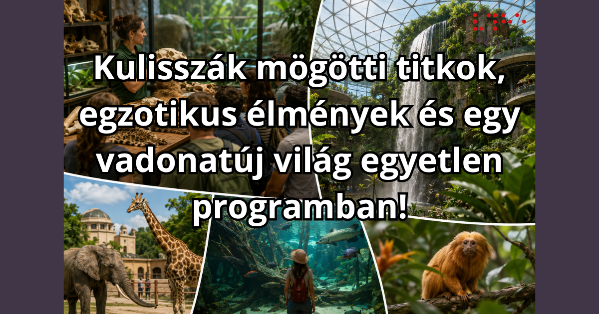 Fotómontázs, melyen a Biodóm, elefánt, zsiráf, majom, növények és egy foglalkozás látható.